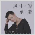 小阿枫 - 风中的承诺