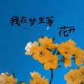 我在梦里等花开