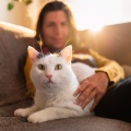 Musica Relajante de Guitarra Ritmos、Gato tranquilo、Lista de Reproducción para Gatos - El Toque Felino De La Guitarra