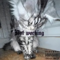 Not Working (Explicit)