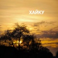 Хайку