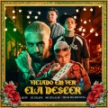 Viciado Em Ver Ela Descer (feat. MC Ryan SP)(feat. DJ LK da Escócia)