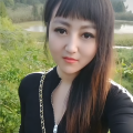 王敏燕 - 受伤的刺猬
