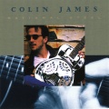 colin james - Shout Baby Shout