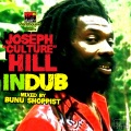 duane stephenson - Ready fi Revolution