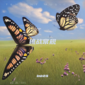 自由老张 - 资格