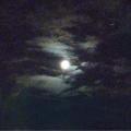 George Flowers - Moonlit