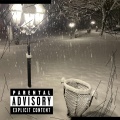 Natan - Project 8 (Explicit)
