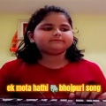 ek mota hathi bhojpuri song