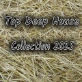 Top Deep House Collection 2025 (Explicit)