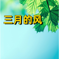 周细荣 - 三月的风