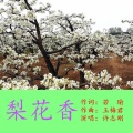 梨花香-许志刚