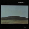The Illusory Explainer、antihoney - Longing For You