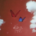 吴宣仪 - 蝴蝶恋
