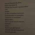 Rash、Dethron、Mavi Işıklar - Ankara Rüzgarı