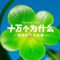 芊浔 - 水果为什么是甜的？