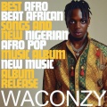 Waconzy - NIGERIAN FLAVOUR (9JAFLAVOUR) [NAIJ MUSIC] .wav