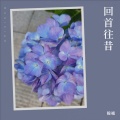 毅福 - 钞票