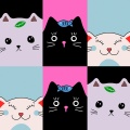 not without my lofi cat...