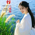 惊鸿照影