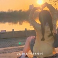 沈楠. - 心做