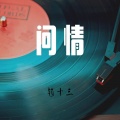 赵十三 - 问情