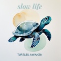 Turtles Awaken - Ease