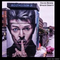 Space Oddity (Explicit)