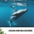 Cat Music Therapy、Ocean Sounds FX、Water Science - Gentle Call of the Waterfall