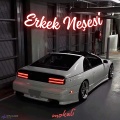 Erkek Neşesi (Tolny)