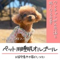 7 HEALING MUSIC LOUNGE - 愛犬とお昼寝タイムにやさしい音楽を
