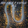 张晓俞 - 我终于松开手不回头往前走