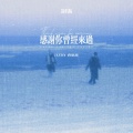 感谢你曾经来过就算你是个过客