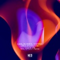 Life in Shockwaves (Waltervelt Remix)