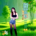 翟海丰 - 摇花的小手 (舞曲版)