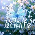周潇奇 - 我愿意化蝶在你肩上落