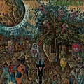 Stereocilio - Amniocentésis