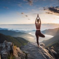 Ritmos de hip hop de baja fidelidad、Reiki y Tai Chi Armonía、Yoga del mono - Frecuencias Sutiles De Poses
