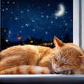 Inmersiones y saltos、Guarida Sonora para Gatos、Sonidos de la selva amazónica - Melodías Suaves Para La Noche De Gatos