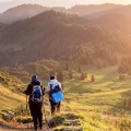 Nature Is Your Life