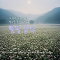 최영철 - 파란 나비