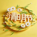 小猪奇奇 - 清明节