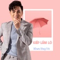 Lưu Ánh Loan - Một Lần Lầm Lỡ