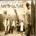 Back In The Days Roots & Culture Platinum Edition