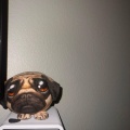 cat mountain (Explicit)