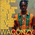 Waconzy - AFROBEATS SONGS (AFRO BEATS MP3 DOWNLOAD) [AFROBEAT MUSIC]