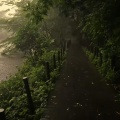 LBI - 我决心走出这片雨季