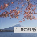 倪金茂 - 酒窝里的银河系