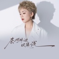 王娜 - 奈何桥边叹缘浅