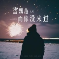 大可 - 雪飘落而你没来过